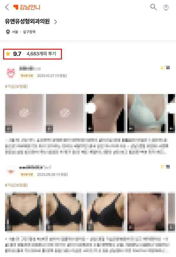 ที่เสริมหน้าอกเก่ง ๆ: 2 จุดสำคัญที่คนตัดสินจากรีวิวอย่างเดียวมองข้าม <คำแนะนำจากประสบการณ์วิจัย 20 ปี> — ภาพประกอบบทความ 6