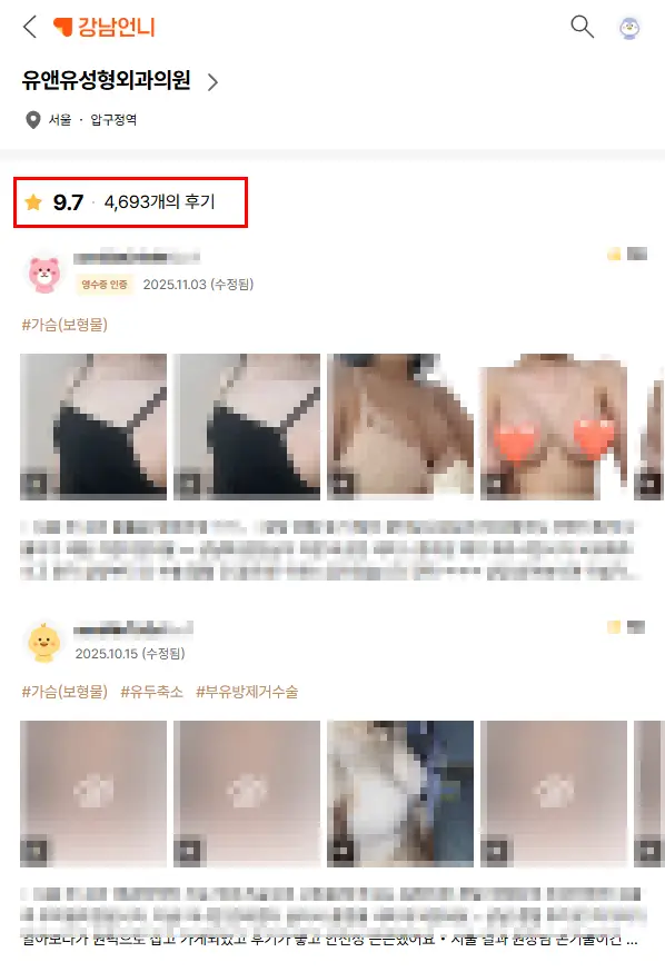 รีวิวเสริมหน้าอก จดหมายถึงผู้ที่กำลังมองหาเฉพาะรีวิวของคนที่มีเงื่อนไขคล้ายตัวเอง <คำแนะนำจากประสบการณ์วิจัย 20 ปี> — ภาพประกอบบทความ 1