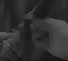 การรับรองห้ามใช้ซ้ำของใช้ครั้งเดียว