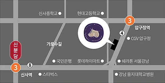 แผนที่คลินิกศัลยกรรมตกแต่ง U&U — ถนนคาโรซูกิล ใกล้สถานีอัปกูจองและสถานีชินซา