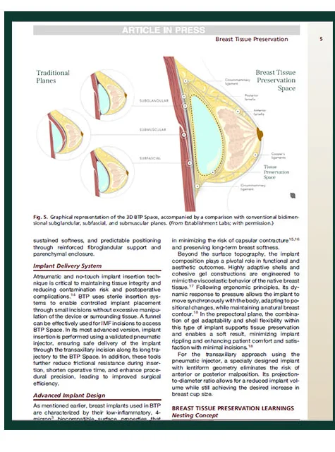 เนื้อหางานวิจัยที่ตีพิมพ์ใน Clinics in Plastic Surgery — ภาพประกอบ 3D BTP Space
